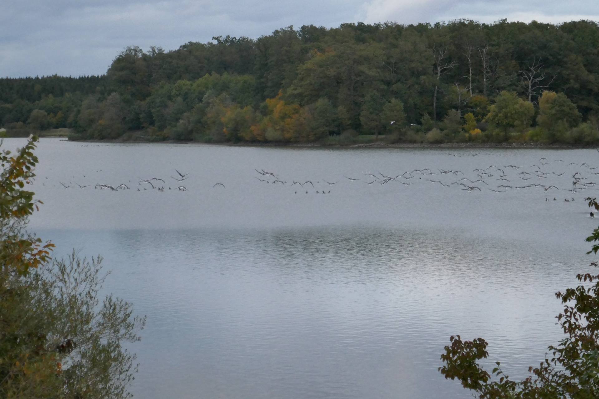 10 Oktober -  rund um den Lippacher Stausee